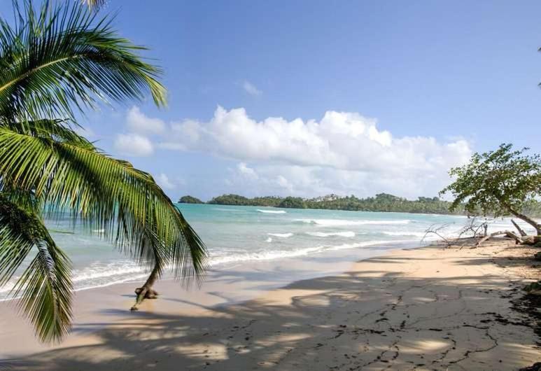 Hotel Bahia Punta Bonita Las Terrenas Zewnętrze zdjęcie